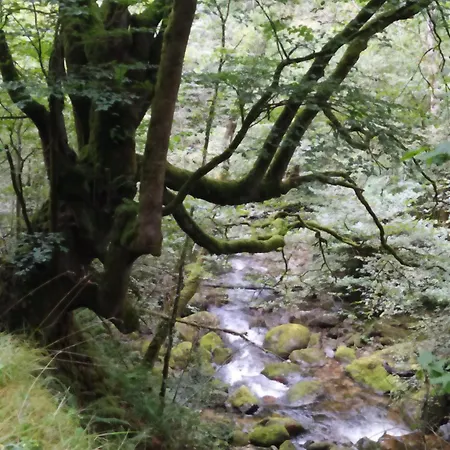 Apartment Domus Redes