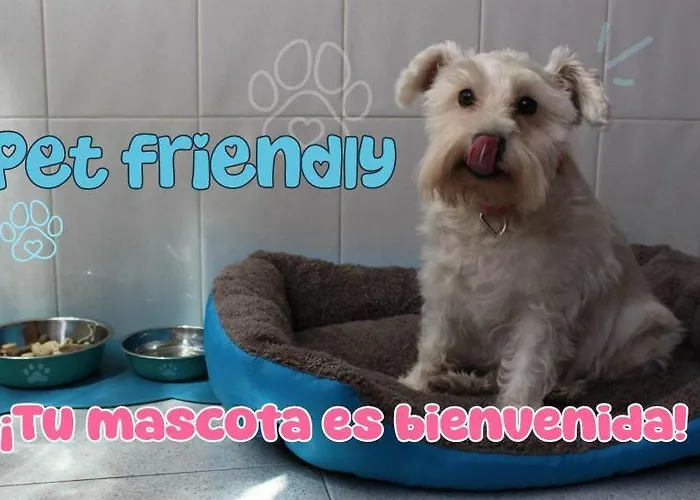 Apartman Domus Redes Pola de Laviana